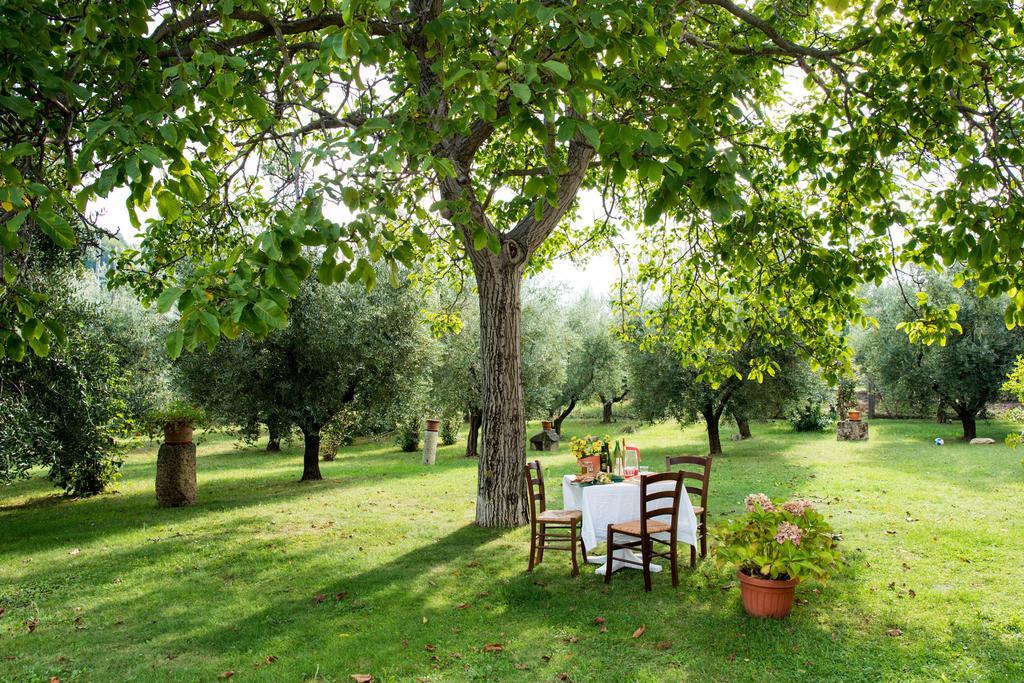 Il Casale Degli Ulivi B&B อัสโกลีปิเชโน ภายนอก รูปภาพ